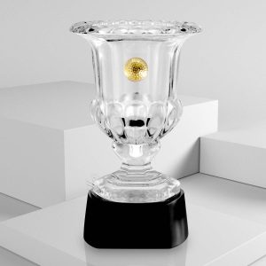 Cúp Vinh Danh – PL-22 - Ảnh 1