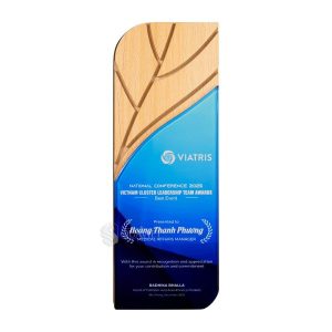 Kỷ niệm chương gỗ Mix – G009-1