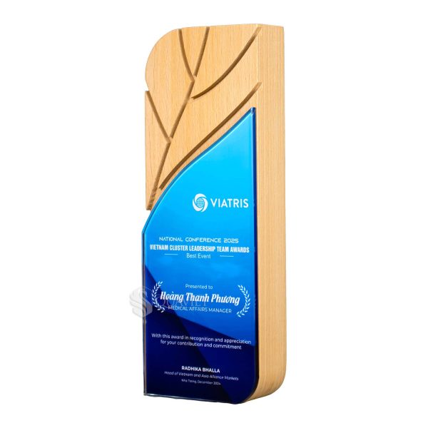 Kỷ niệm chương gỗ Mix – G009-2