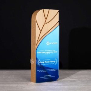 Kỷ niệm chương gỗ Mix – G009-0