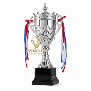 Cúp kim loại mạ Vàng Bạc Đồng- VCC1004 - Ảnh 6