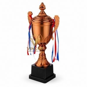 Cúp kim loại mạ Vàng - Bạc - Đồng - VCC1006 - Ảnh 7